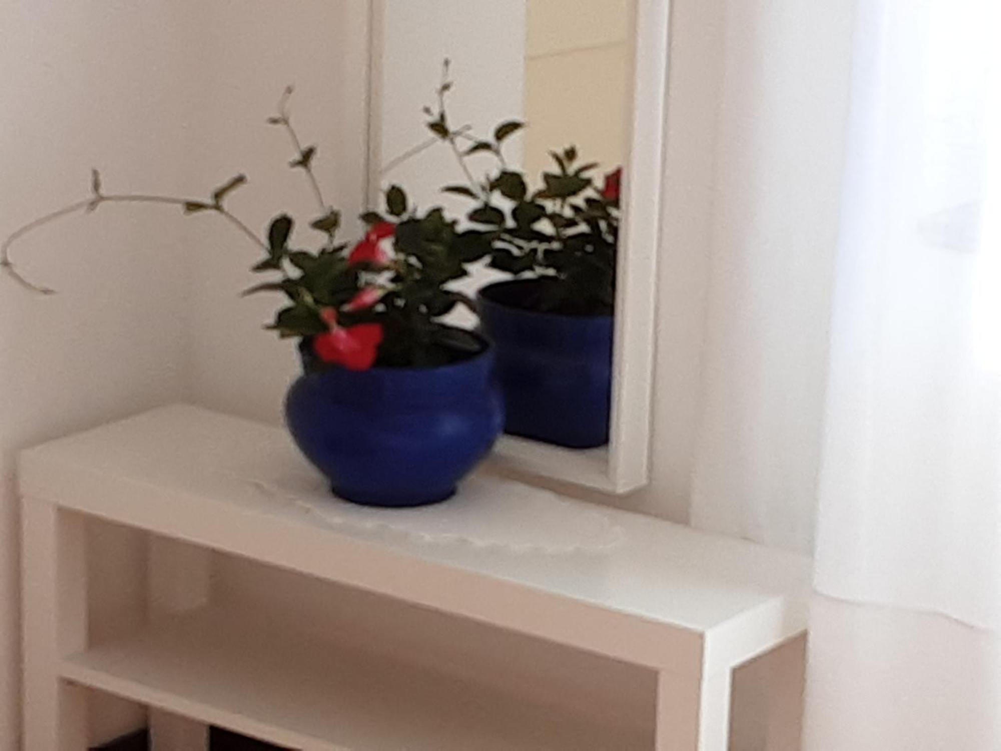 Apartman Legac 斯塔里格勒 客房 照片