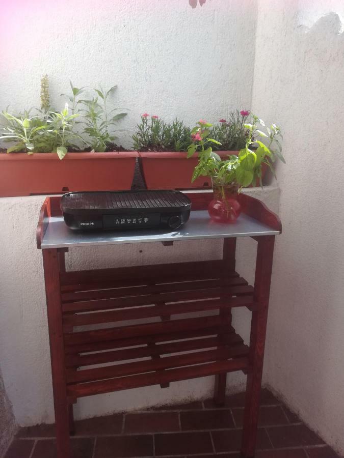 Apartman Legac 斯塔里格勒 外观 照片